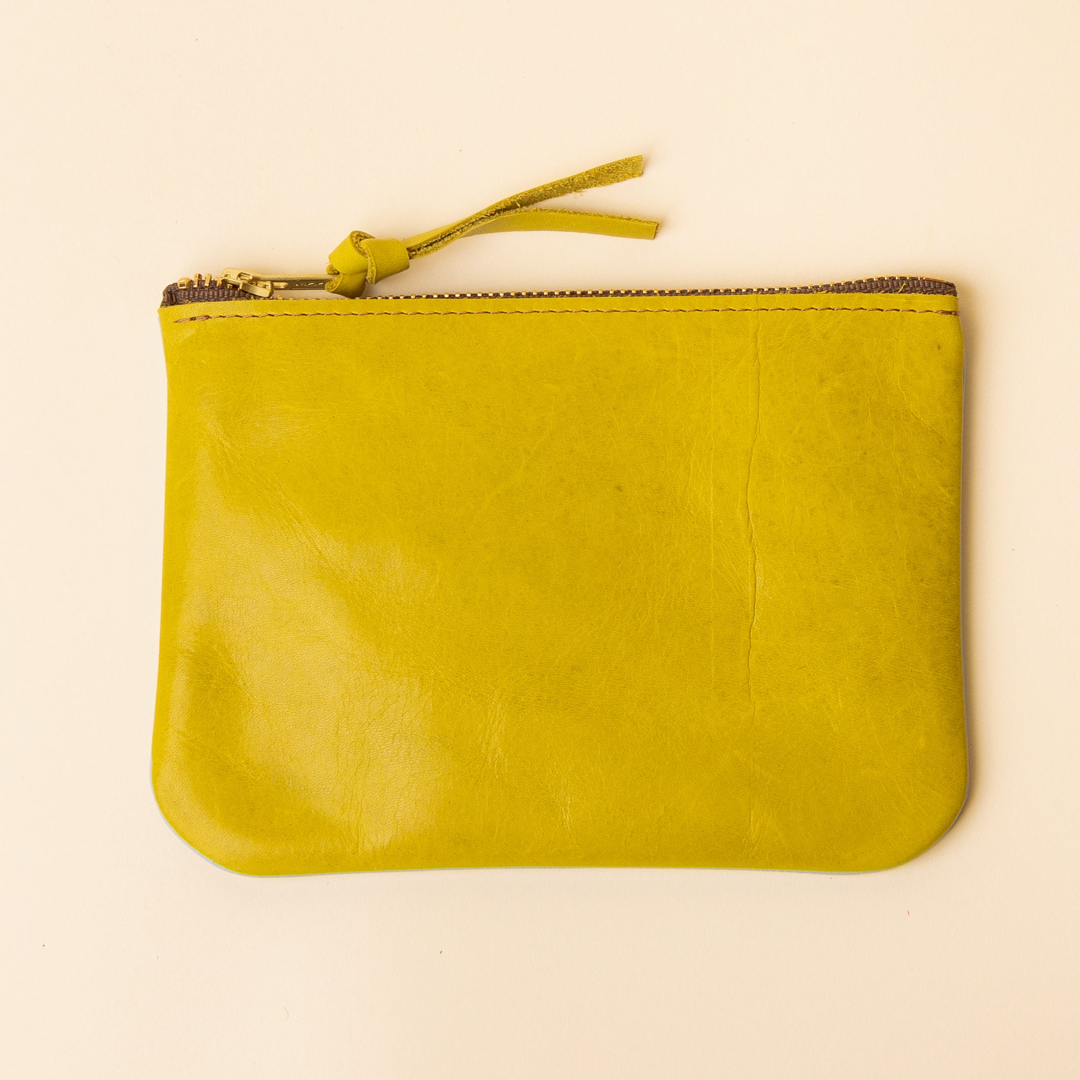 Pale Blue/Chartreuse Essential Pouch