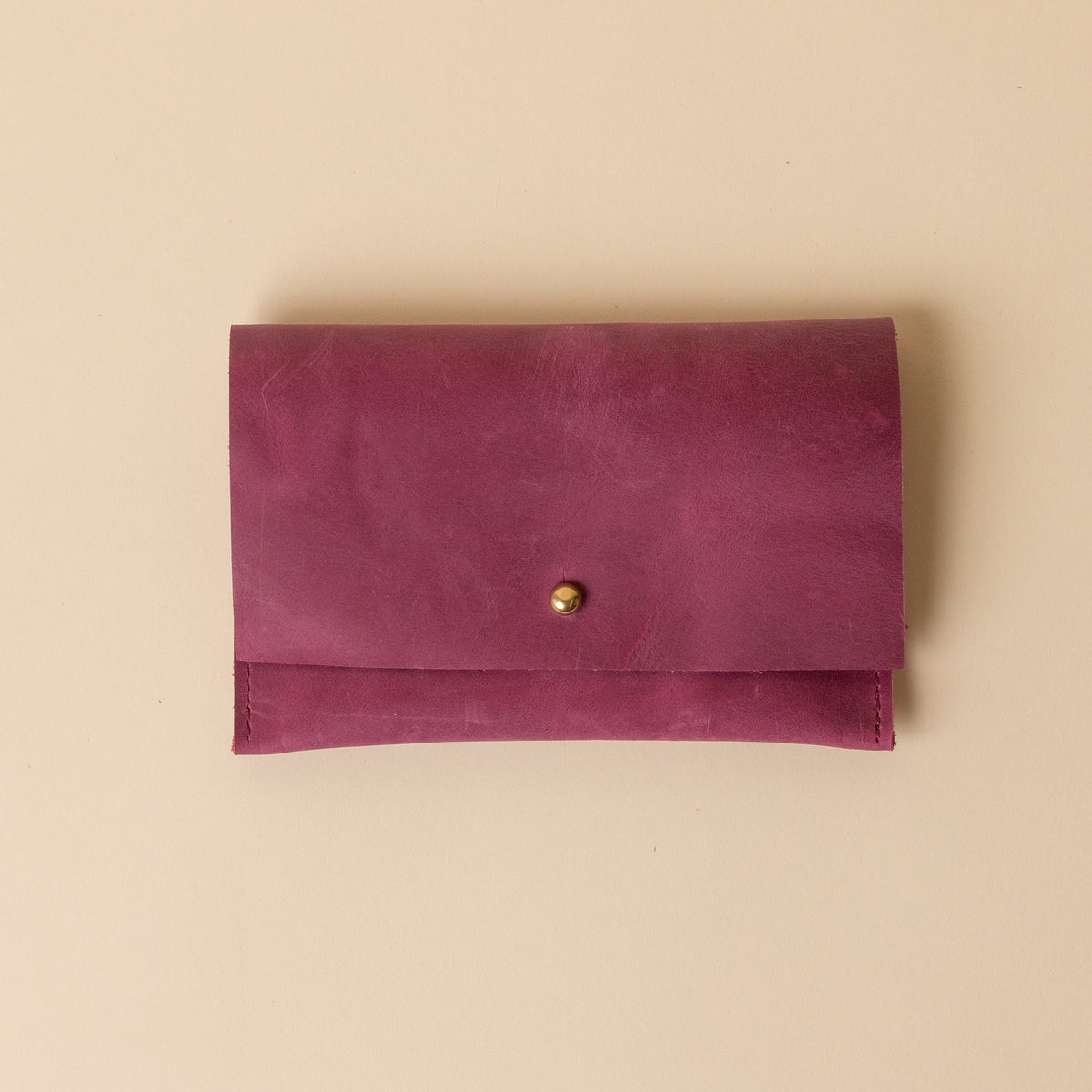 Raspberry Companion Pouch