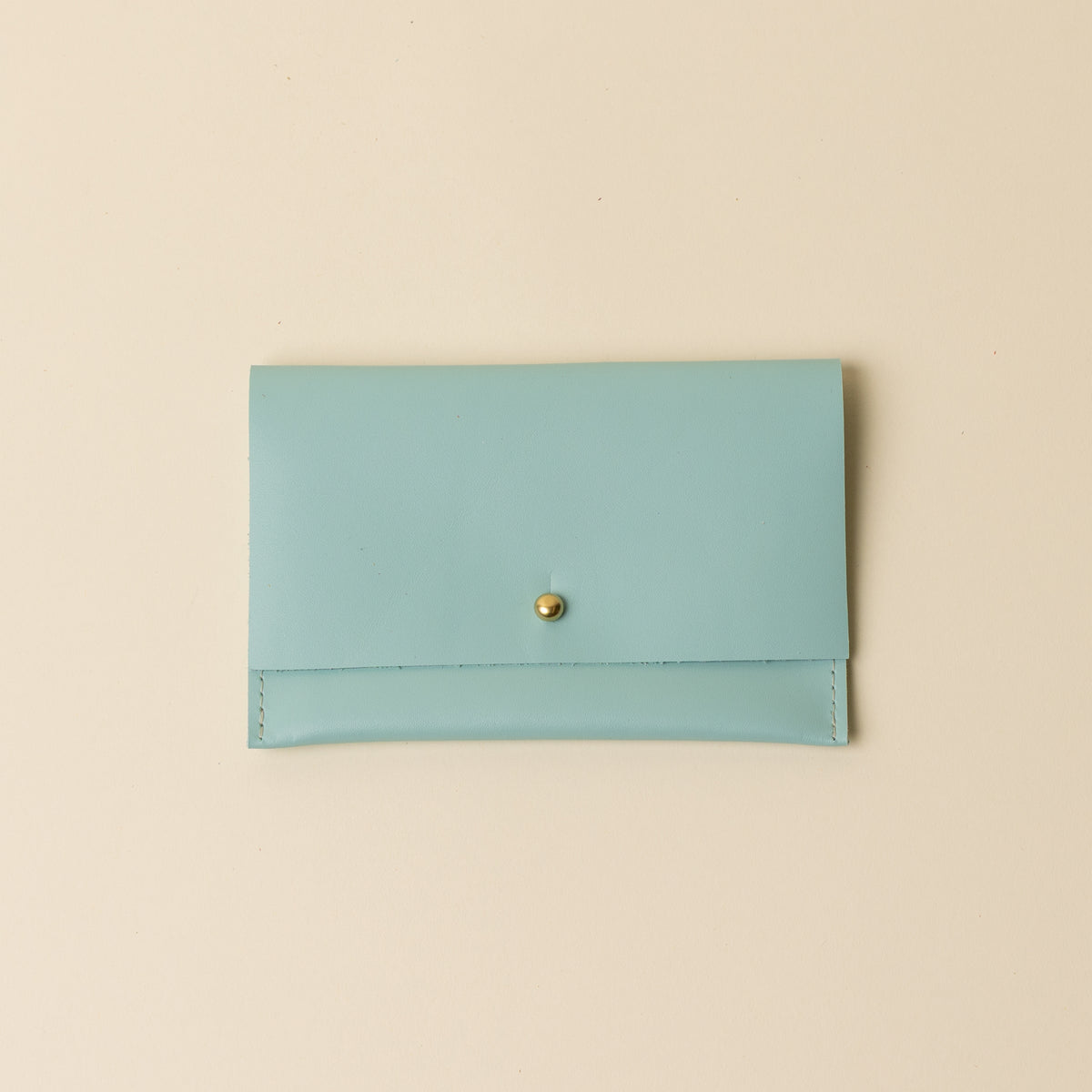 Robin's Egg Companion Pouch