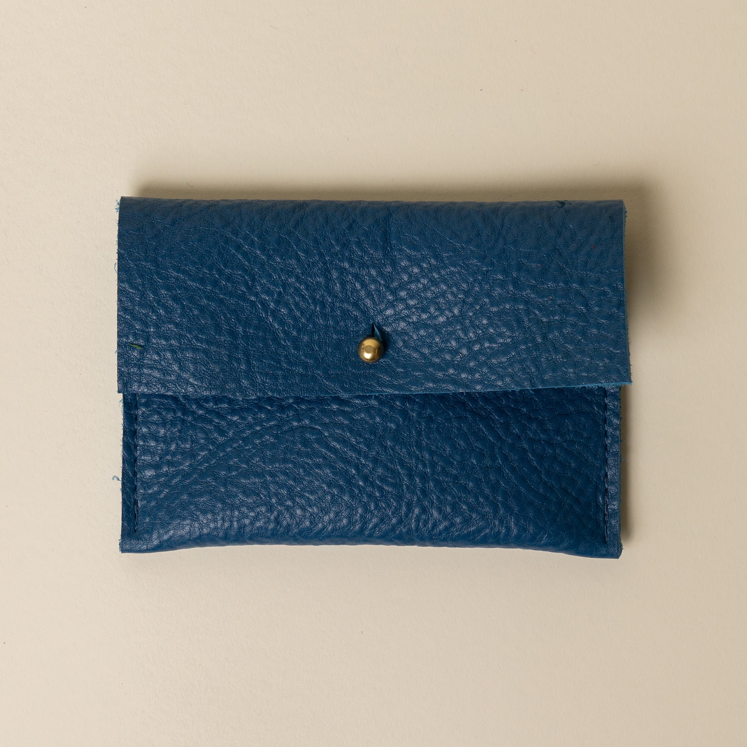 Lapis Companion Pouch