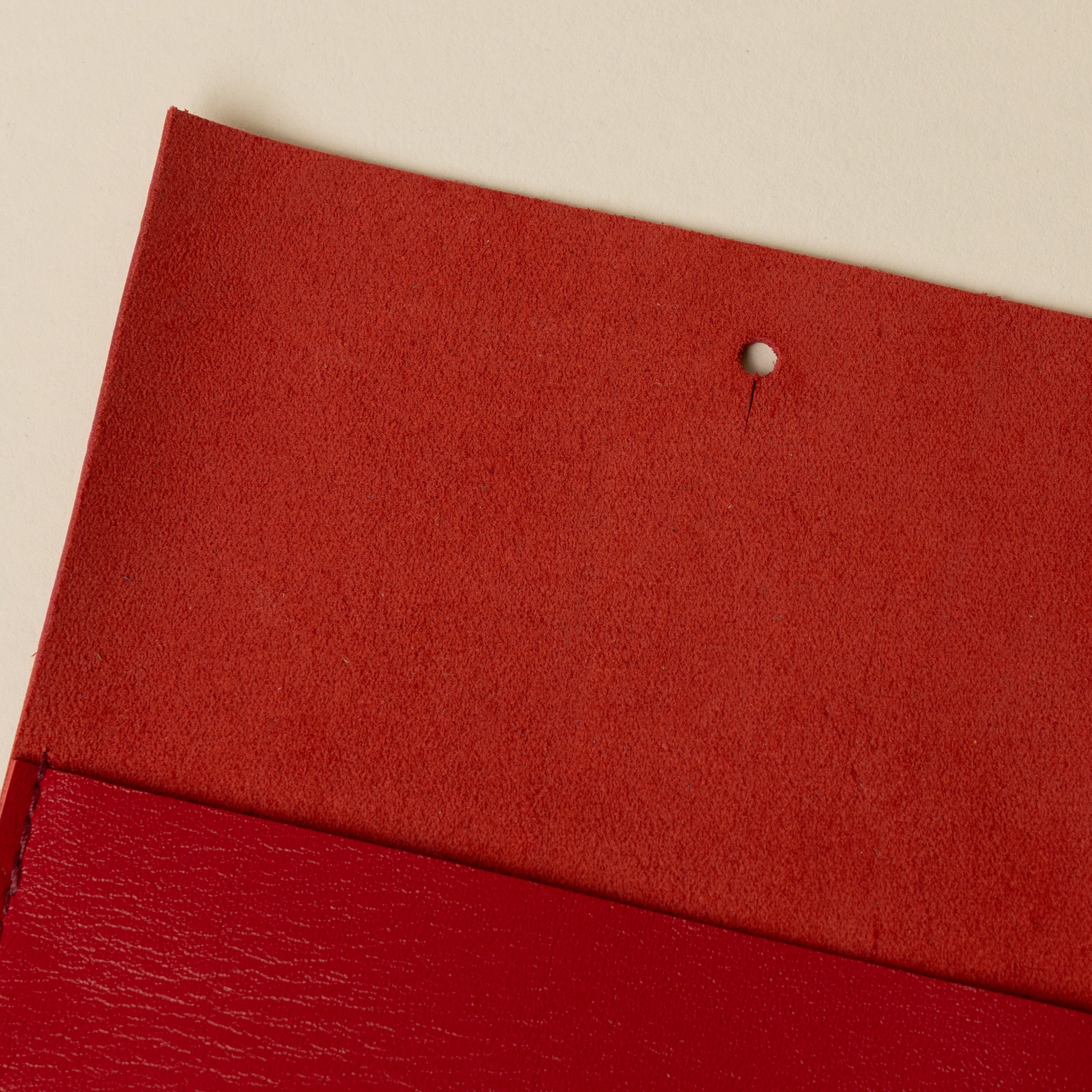 Cardinal Red Companion Pouch